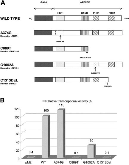 Figure  4