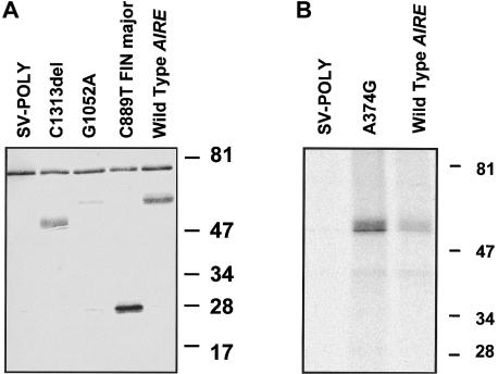 Figure  2