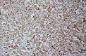 Figure 5: