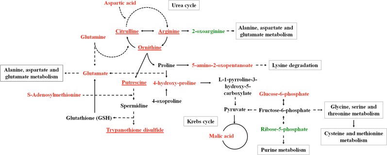 Fig 6