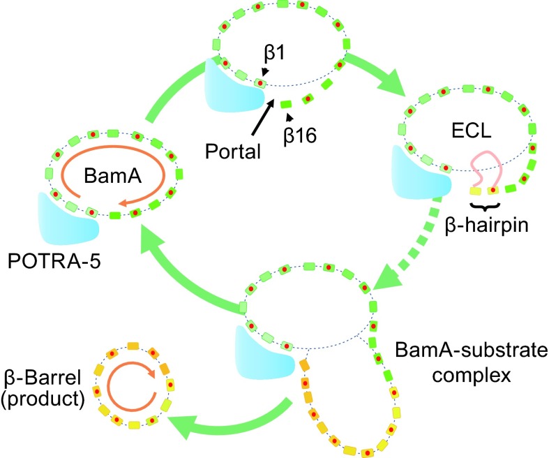 Figure 2