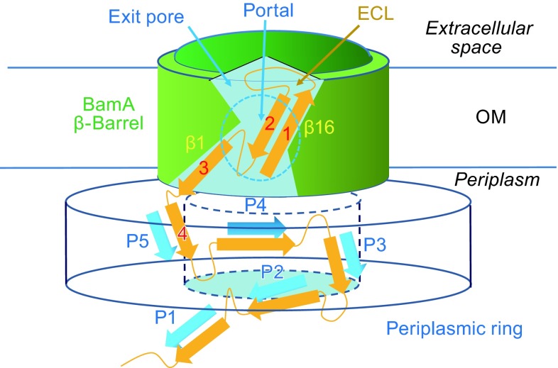 Figure 1