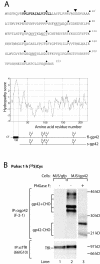FIG. 1.