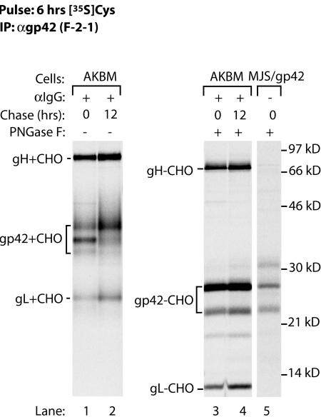 FIG. 7.