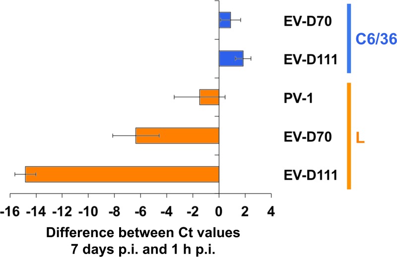 Fig 10