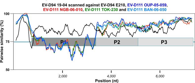 Fig 6