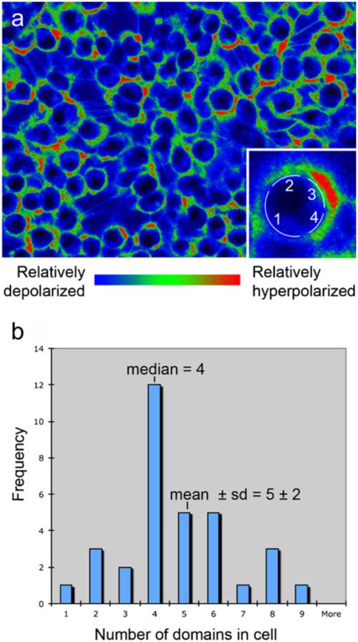 Fig. 8