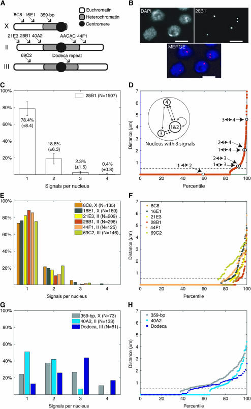 Figure 2.—