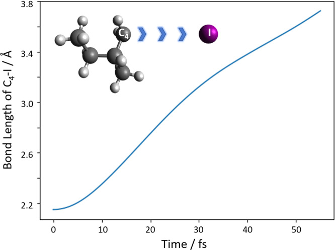 Fig. 10