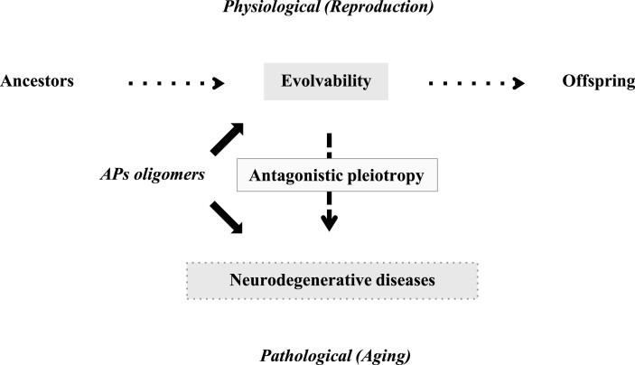 Fig.1