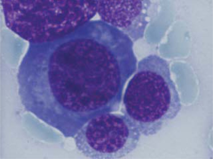 Fig. 4