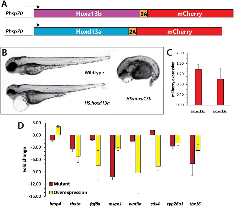 Fig. 7.