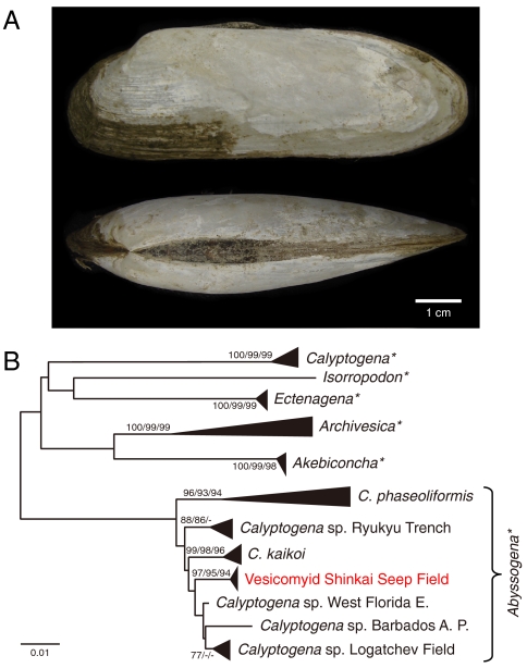 Fig. 5.