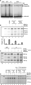 Figure 6.