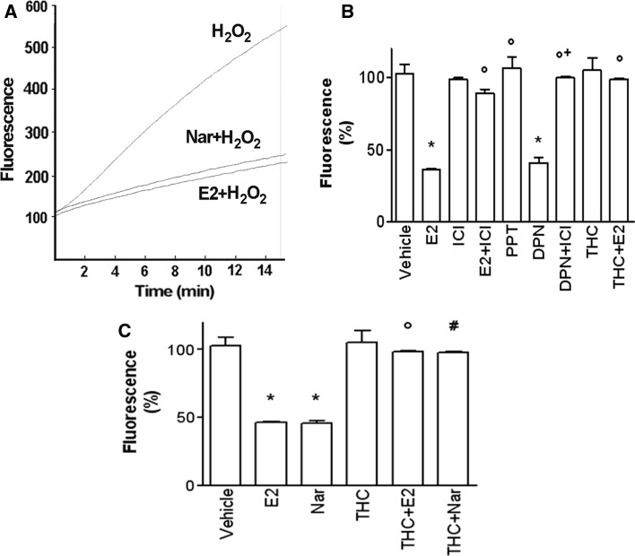 Fig. 8