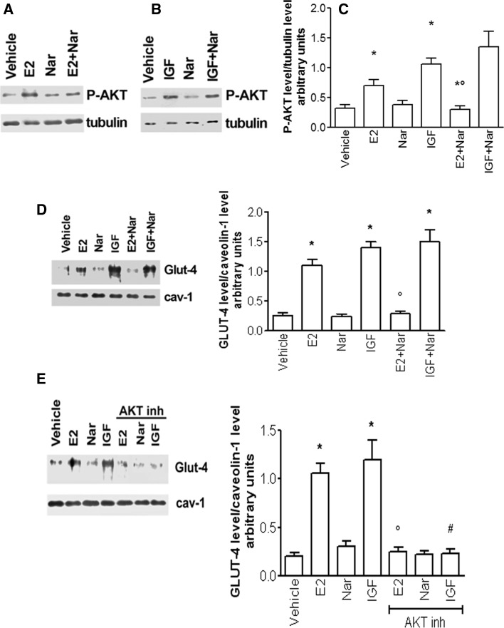 Fig. 6