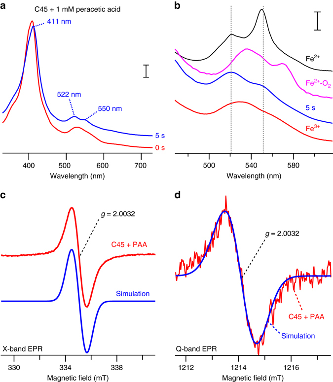 Fig. 4