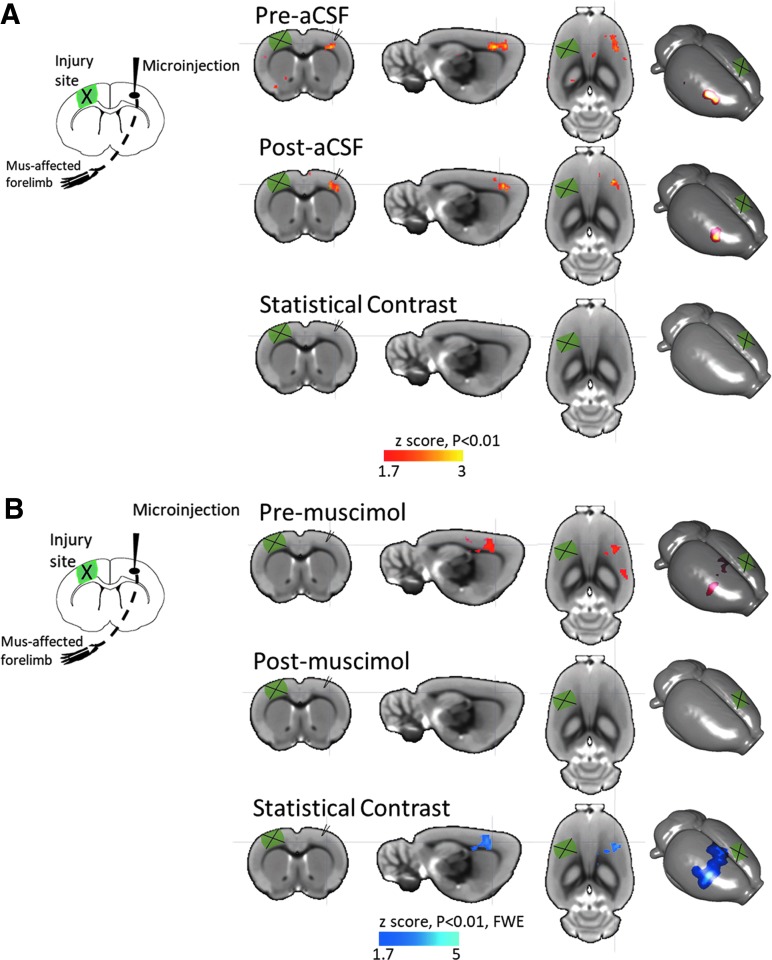 FIG. 7.