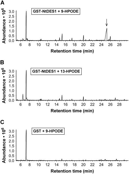 Figure 3.