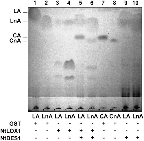 Figure 5.