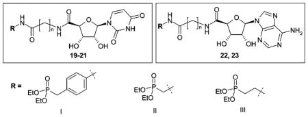 graphic file with name nihms645u1.jpg