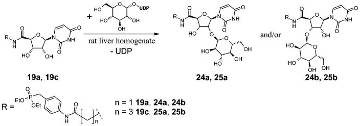 Scheme 4