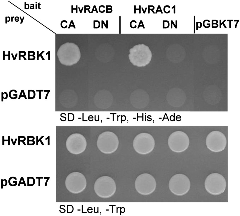 Figure 2.