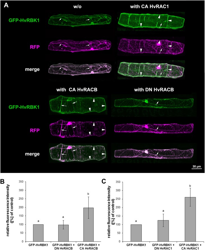 Figure 4.