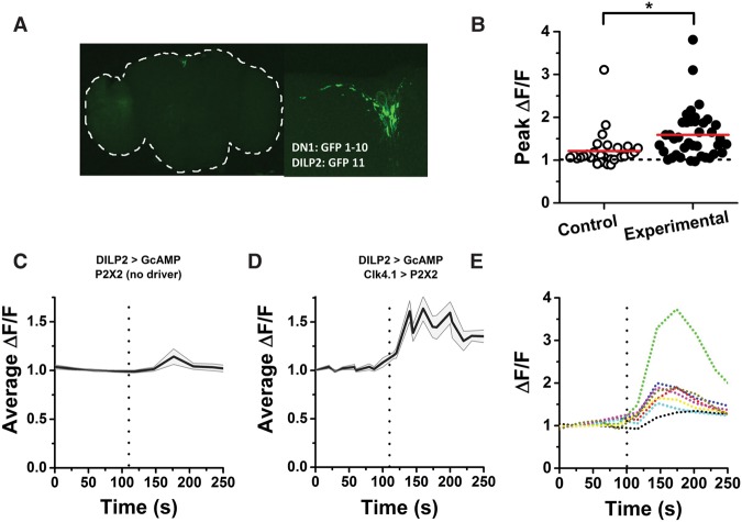 Figure 1.