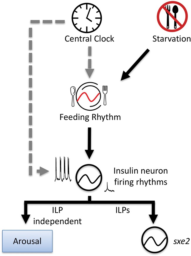 Figure 7.