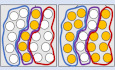 graphic file with name MSB-19-e11670-g006.jpg