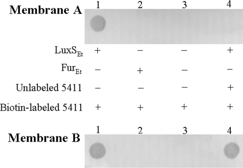 FIG. 3.