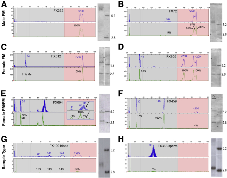 Figure 3