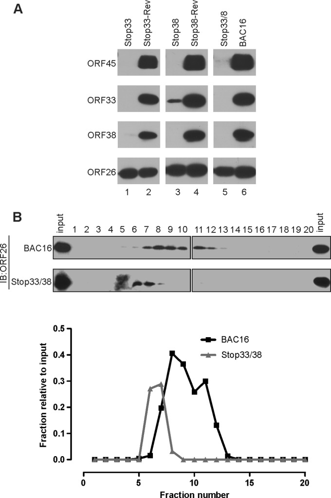 FIG 6