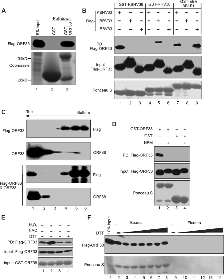 FIG 2