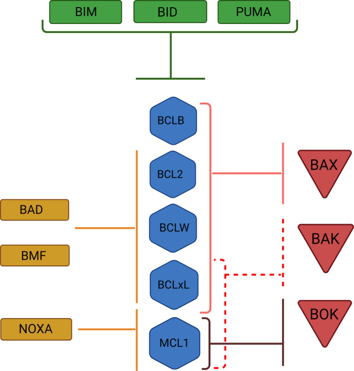 Fig. 6