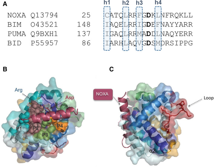 Fig. 3