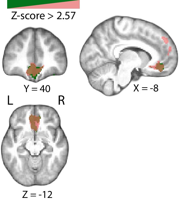 Figure 5—figure supplement 5.