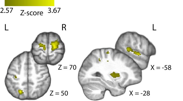 Figure 5—figure supplement 2.