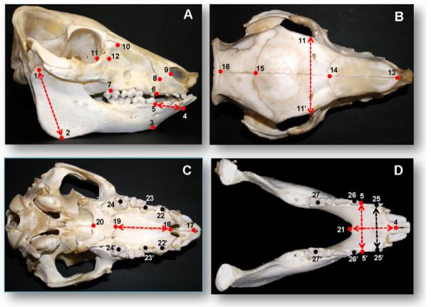 Fig. 4