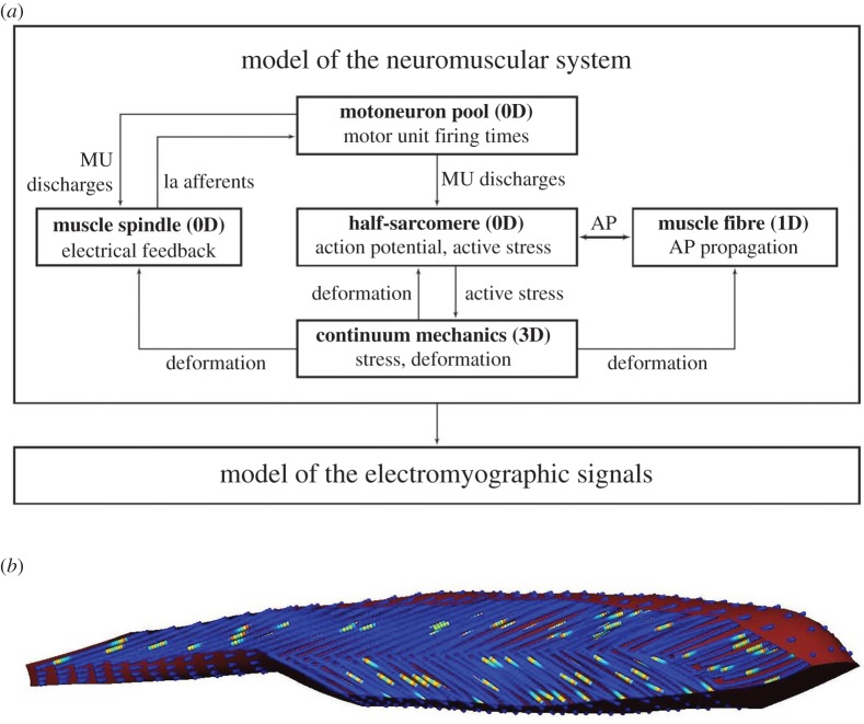 Figure 4.