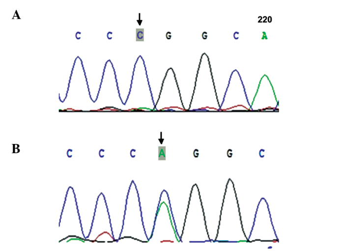 Figure 8