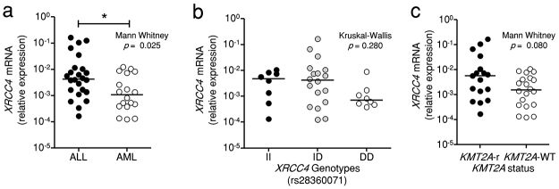 Figure 1 -