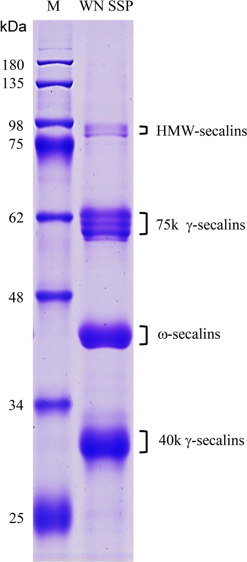 Extended Data Fig. 5