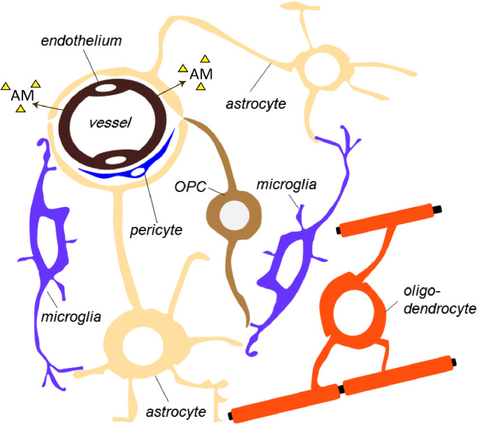 Fig 2