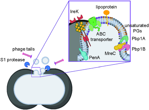 Figure 6.