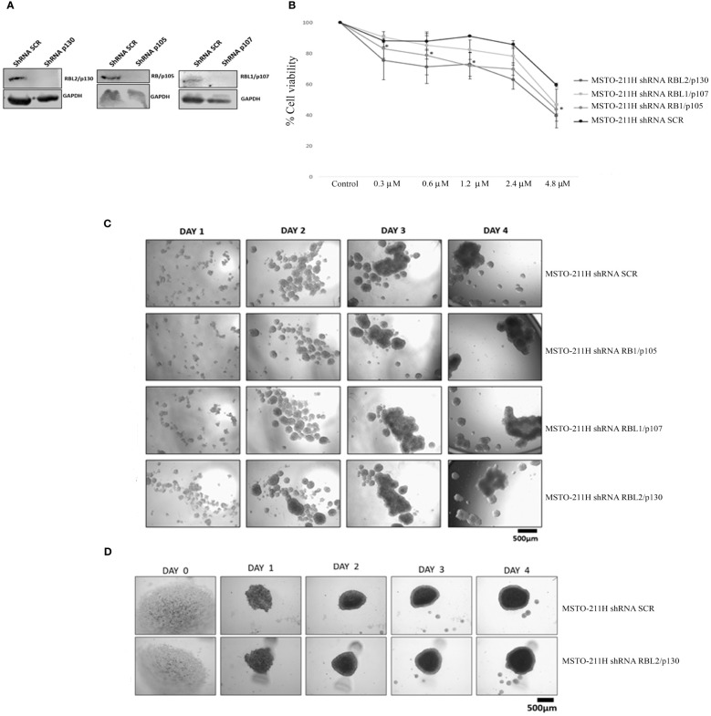 Figure 4