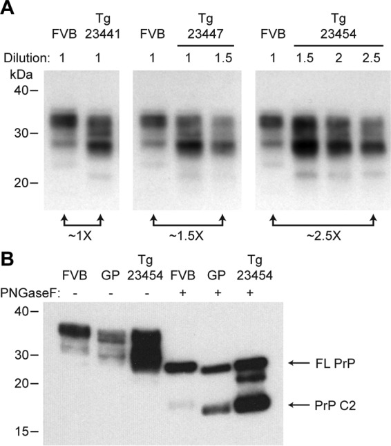 FIG 1