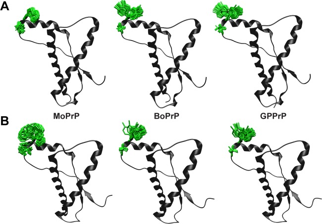 FIG 6