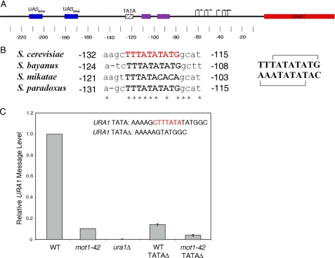 FIGURE 1.